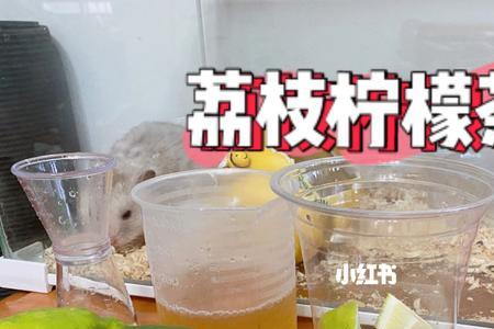 奶茶店的什么茶不会变肥