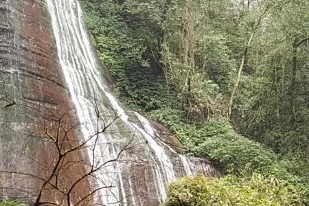 绝情谷和桃花岛哪个厉害