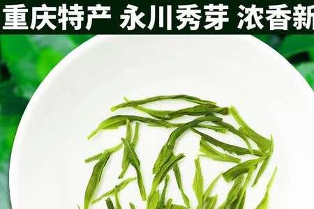 秀芽毛尖和毛尖的区别