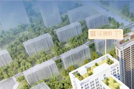 大龙地产和天地源谁更值得留下