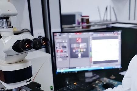 朱林瑶毕业于哪所大学