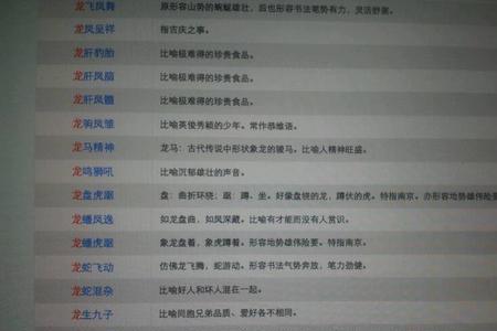 一个龙什么成语