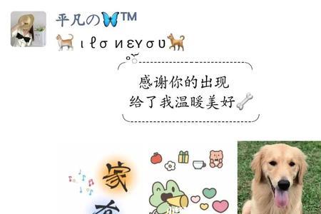 宠物会有感情文案