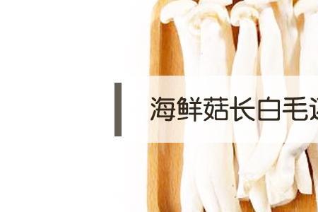 海鲜茹能生吃吗