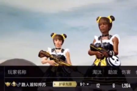 和平精英大奇是职业选手吗