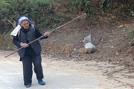 牛为什么要戴牛轭