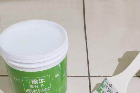 有腻子的墙怎么刷防水胶