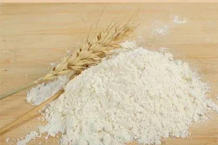最好吃面粉的小麦品种