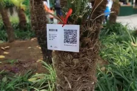 扫二维码的机器有辐射吗