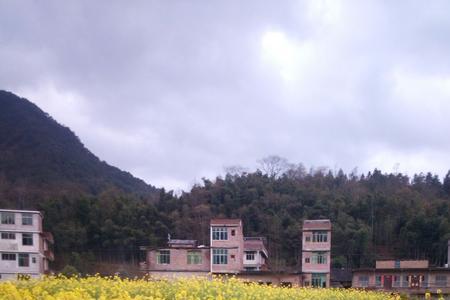 乡村版的意思