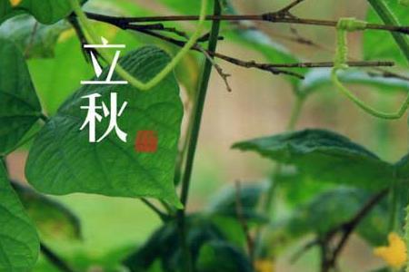 8月份入秋的省份有哪些