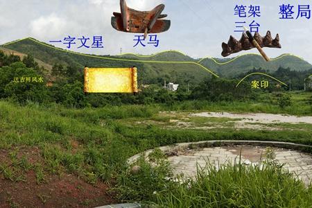 祖坟的金坛有蚂蚁怎么清理