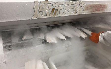 液氮速冻和冰柜速冻的区别