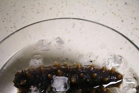 怎样用食用碱泡发海参
