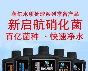 鱼缸爆菌可以喂食吗