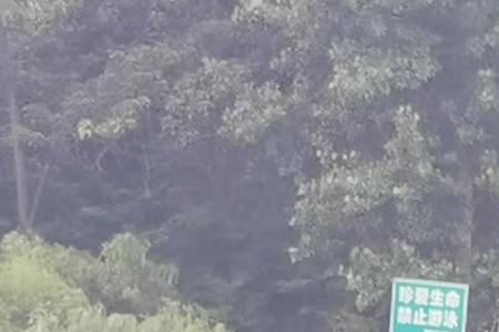 沙滩游泳要裸泳吗