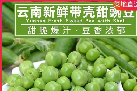 豌豆广东叫什么