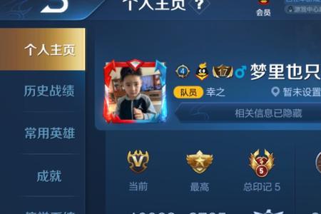 端游王者能登录手游账号吗