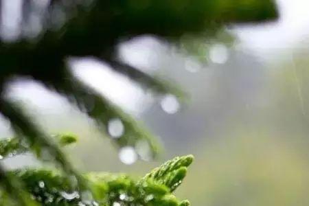 春有风夏有雨秋有月冬有雪