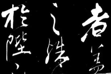 如见其态的意思