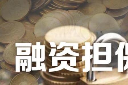 非融资性担保公司有哪些