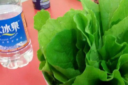 沈阳的小白菜是什么菜