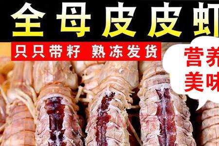 7月份皮皮虾公的好还是母的好