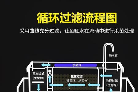 40的虾缸用多大的过滤器
