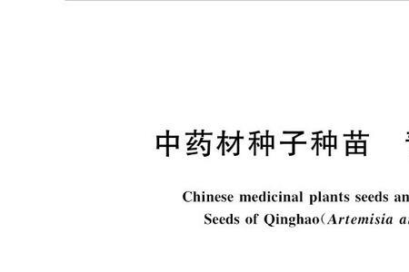 萋蒿的种子长什么样