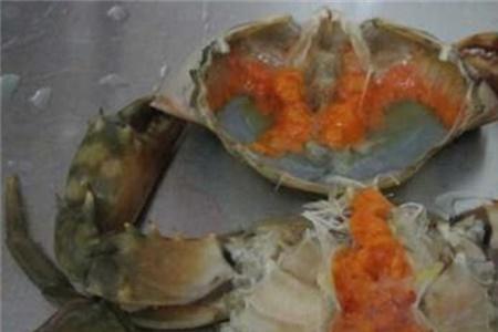 青蟹喂蛋黄吗