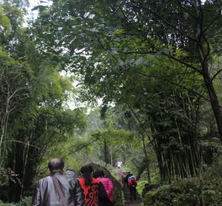 药师岩风景区多久可以耍完