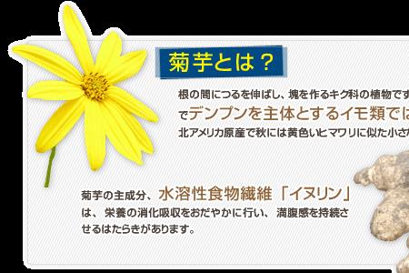 菊粉为什么会凝固