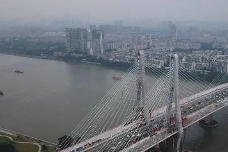 洛溪大桥全长多少米