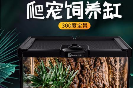 爬宠缸选什么形状