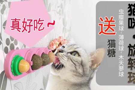 猫为什么喜欢玩棒棒糖