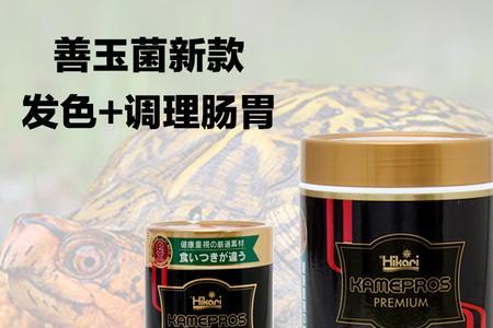 惊蛰龟粮和高够力哪个好