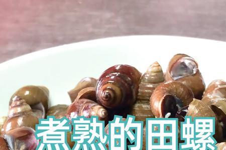 地铁上可以带田螺吗