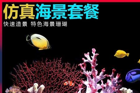 鱼缸里长出像珊瑚虫一样的东西