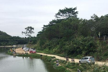 东莞十大免费钓鱼水库