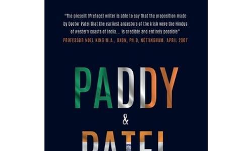 新手适合paddy吗