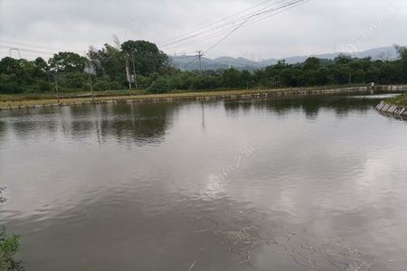 鱼塘垂钓规则