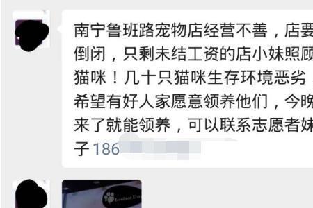 南宁哪家宠物店正规且好