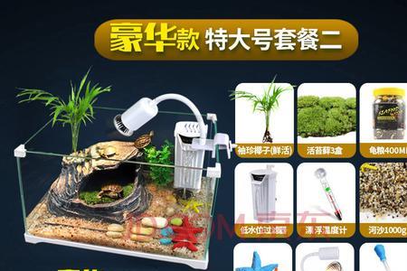 室外鱼龟混养缸怎么布置