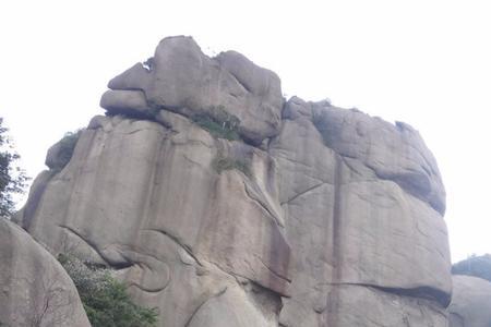 抚州到大华山多公里