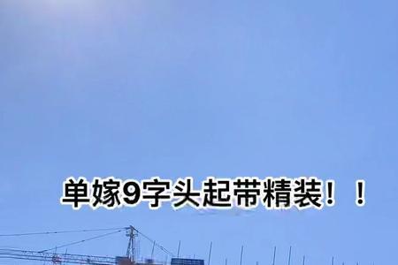 湛江爱琴海总共多少栋