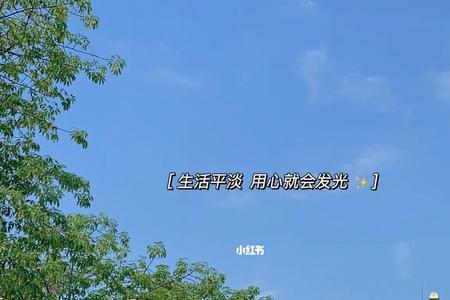 九月尾花文案