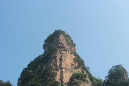 砂岩峰林地貌主要植被