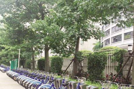 单车停放在什么地方比较好