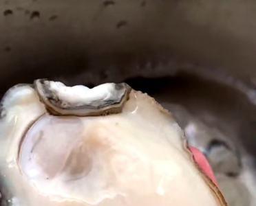 冷冻牡蛎有沙子怎么洗