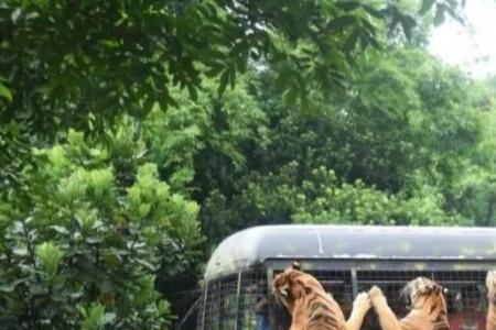 深圳野生动物园预约改签规则